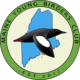 maineyoungbirdersclub